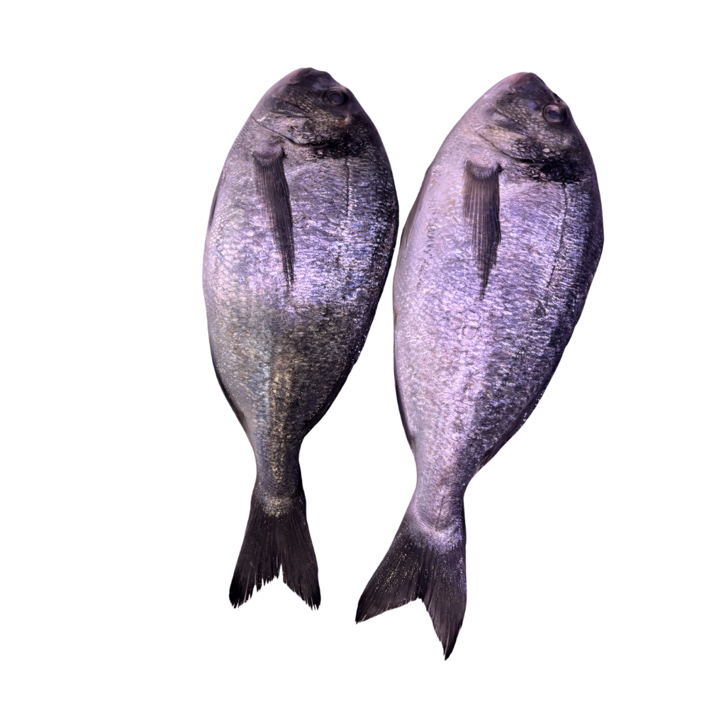 Dorade