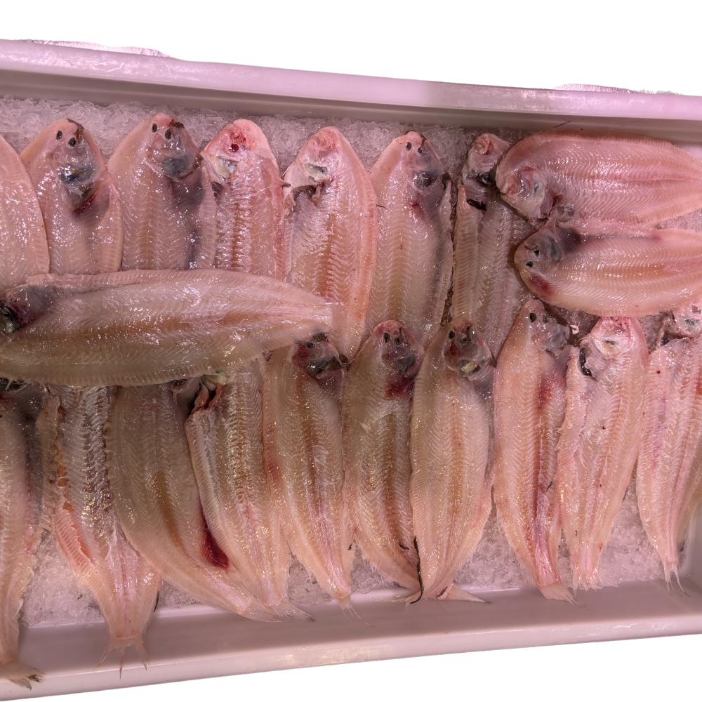 Sliptong